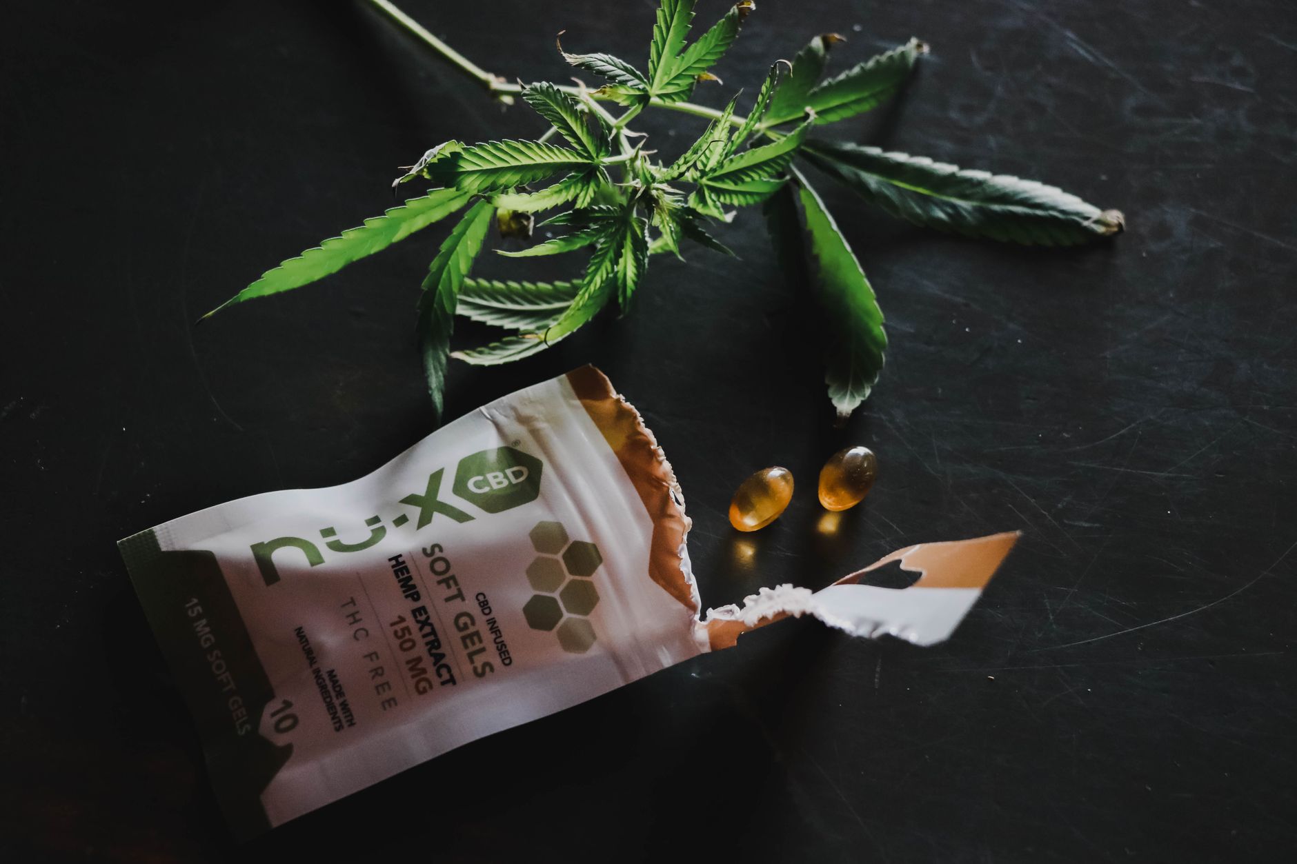 CBD Bègles 2